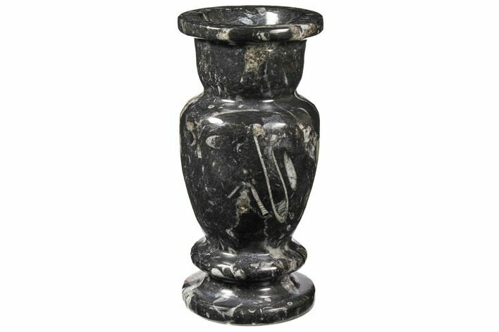Limestone Vase With Orthoceras Fossils #122441